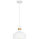 Arbor 1 Light 10 inch Matte White Mini Pendant Ceiling Light, Small