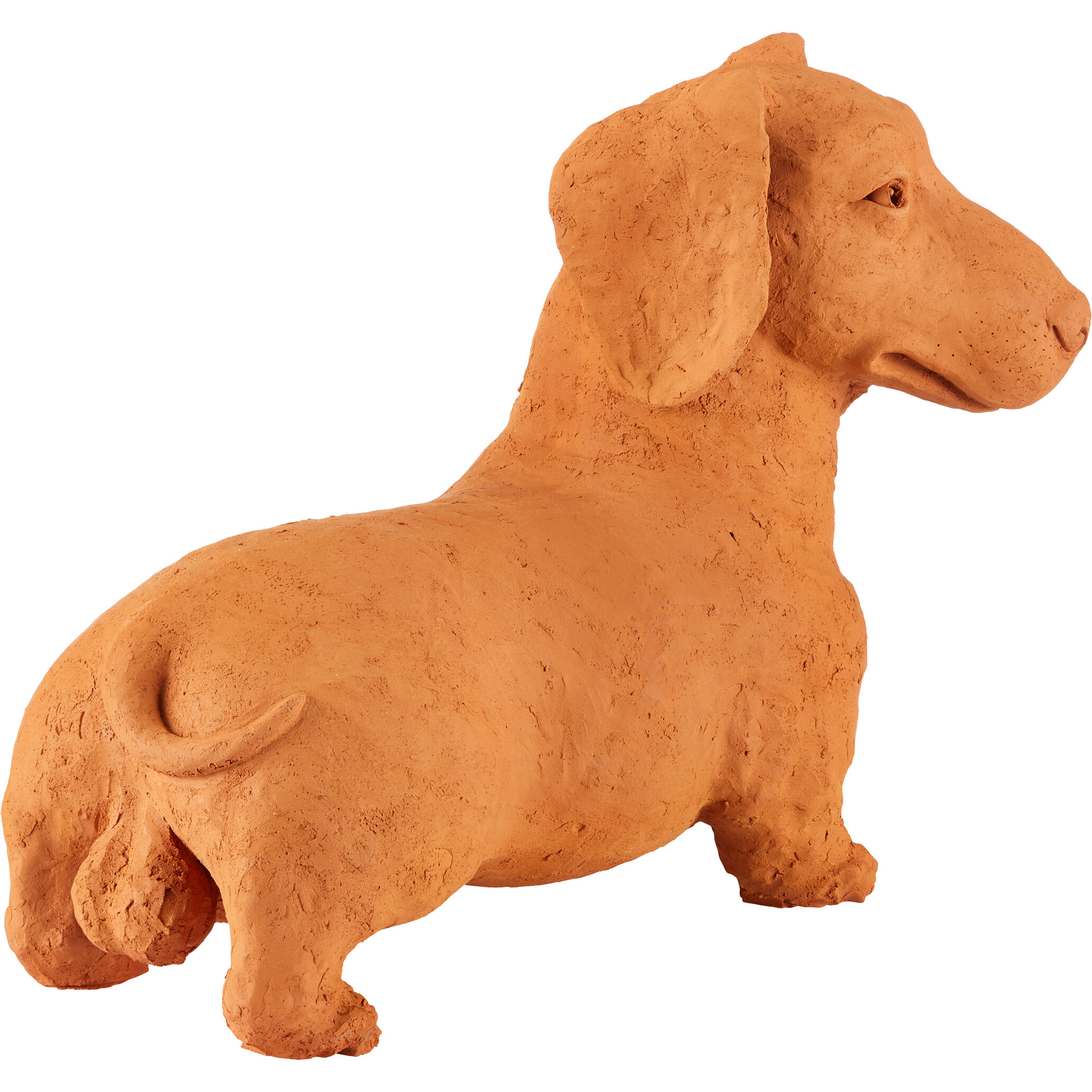 Rocky the Teckel 15.75 X 11.5 inch Sculpture