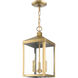 Nyack 3 Light 8.25 inch Antique Brass Outdoor Pendant Lantern