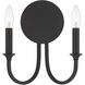 Stone Canyon Sconce Wall Light in Black
