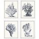 Waterside Collection Blue Framed Art