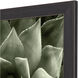 Green Succulent Green and Black and Neutral Framed Art
