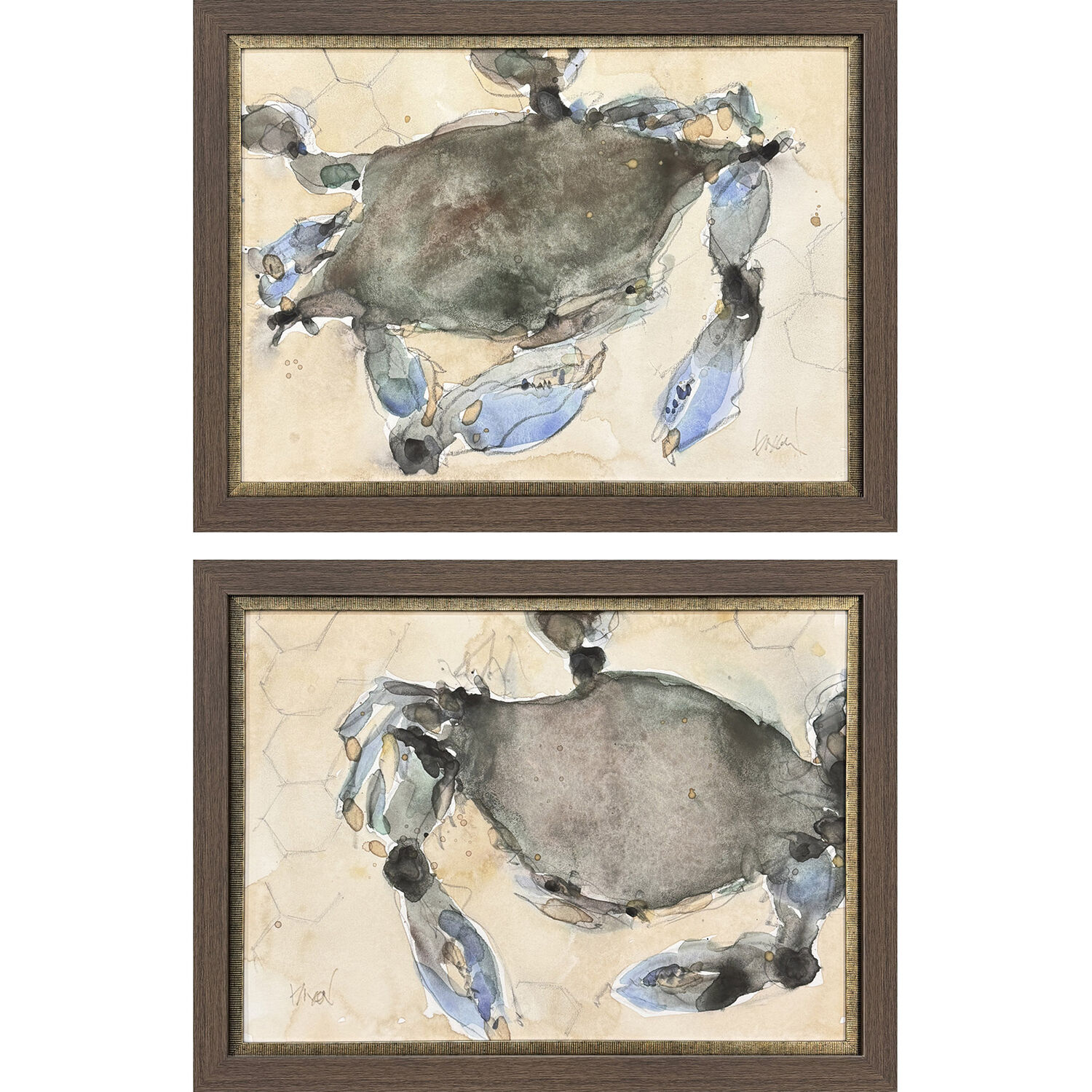 The Maryland Crab Blue and Beige and Green Framed Art
