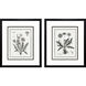 Dandelions Black and Neutral Framed Art, Propac