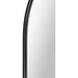 Ammar 60 X 24 inch Matte Black and Clear Mirror