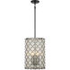 Sheer Elegance 4 Light 12.75 inch Coal Pendant Ceiling Light