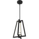 Haven LED 14 inch Matte Black Pendant Ceiling Light