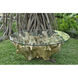 Yava 32 inch Natural with Clear Coffee Table
