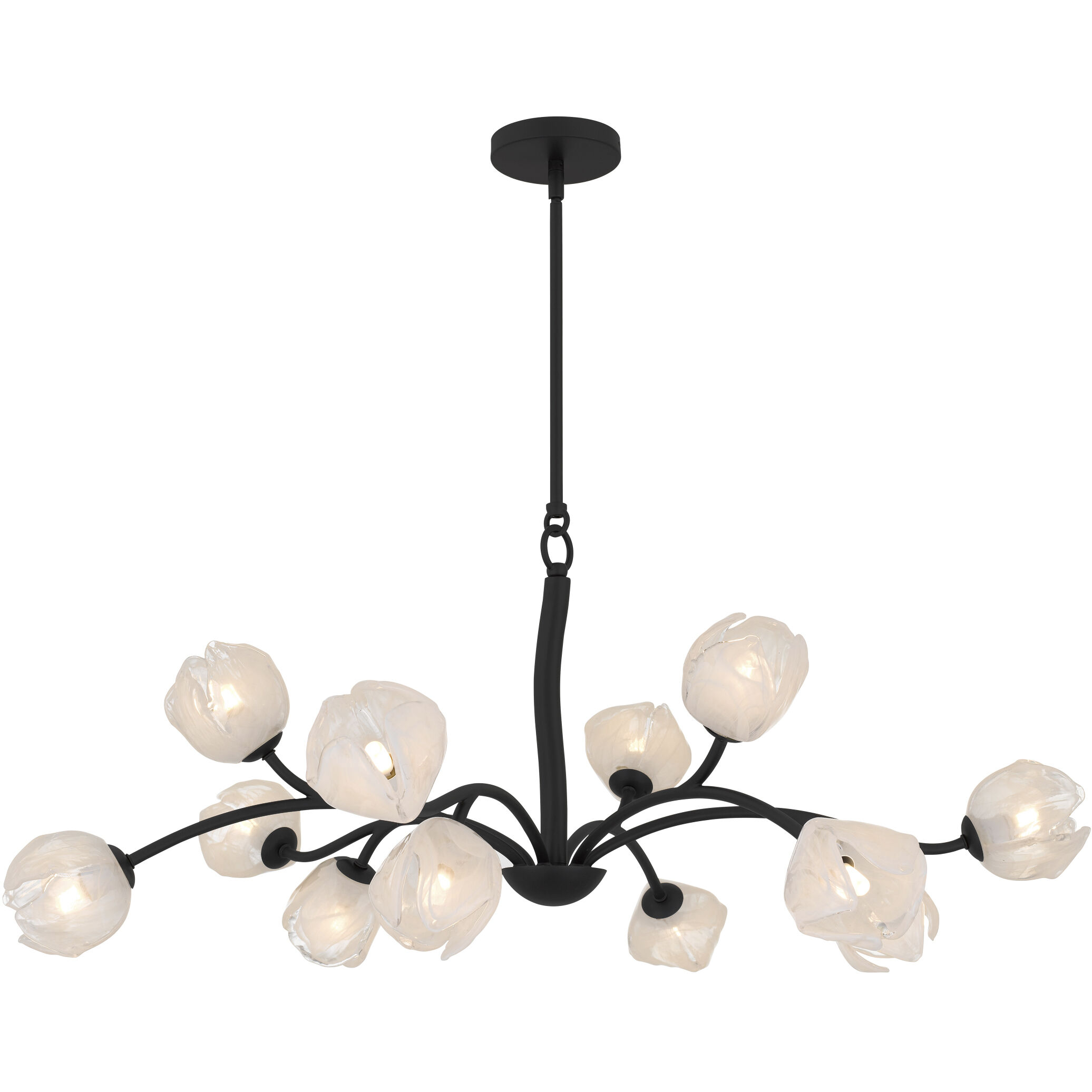 Walker 12 Light 40 inch Matte Black Chandelier Ceiling Light