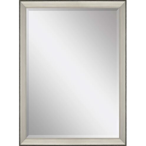 Mirror Collection 40 X 28 inch Metallic Wall Mirror