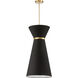 Caterine 1 Light 14 inch Aged Brass Pendant Ceiling Light in Black