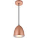 Neutra 1 Light 6 inch Honey Gold Pendant Ceiling Light