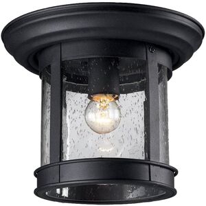 Skylar 1 Light 9.75 inch Outdoor Ceiling Light
