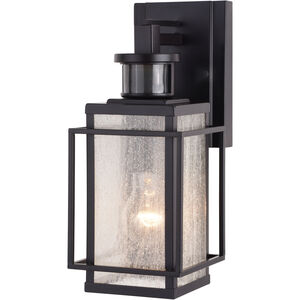 Hyde Park Espresso Bronze Outdoor Motion Sensor