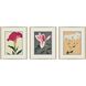 Enchanted Blooms Pink and Beige and Brown and Multi Framed Art