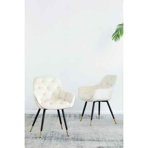Luppino White Dining Chair 2 piece set 