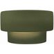 Ambiance LED 10 inch Matte Green Wall Sconce Wall Light