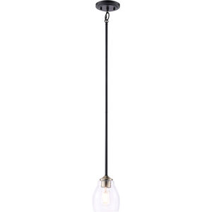 Winsley 1 Light 5 inch Coal And Stained Brass Pendant Ceiling Light