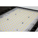 Brentwood Outdoor Area Light