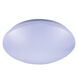 Cf30 Series LED 11 inch White Flush Mount Ceiling Light