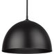 Zoey 1 Light 16 inch Matte Black Pendant Ceiling Light, Large