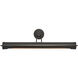 Wynwood 4 watt 32 inch Urban Bronze Picture Light Wall Light
