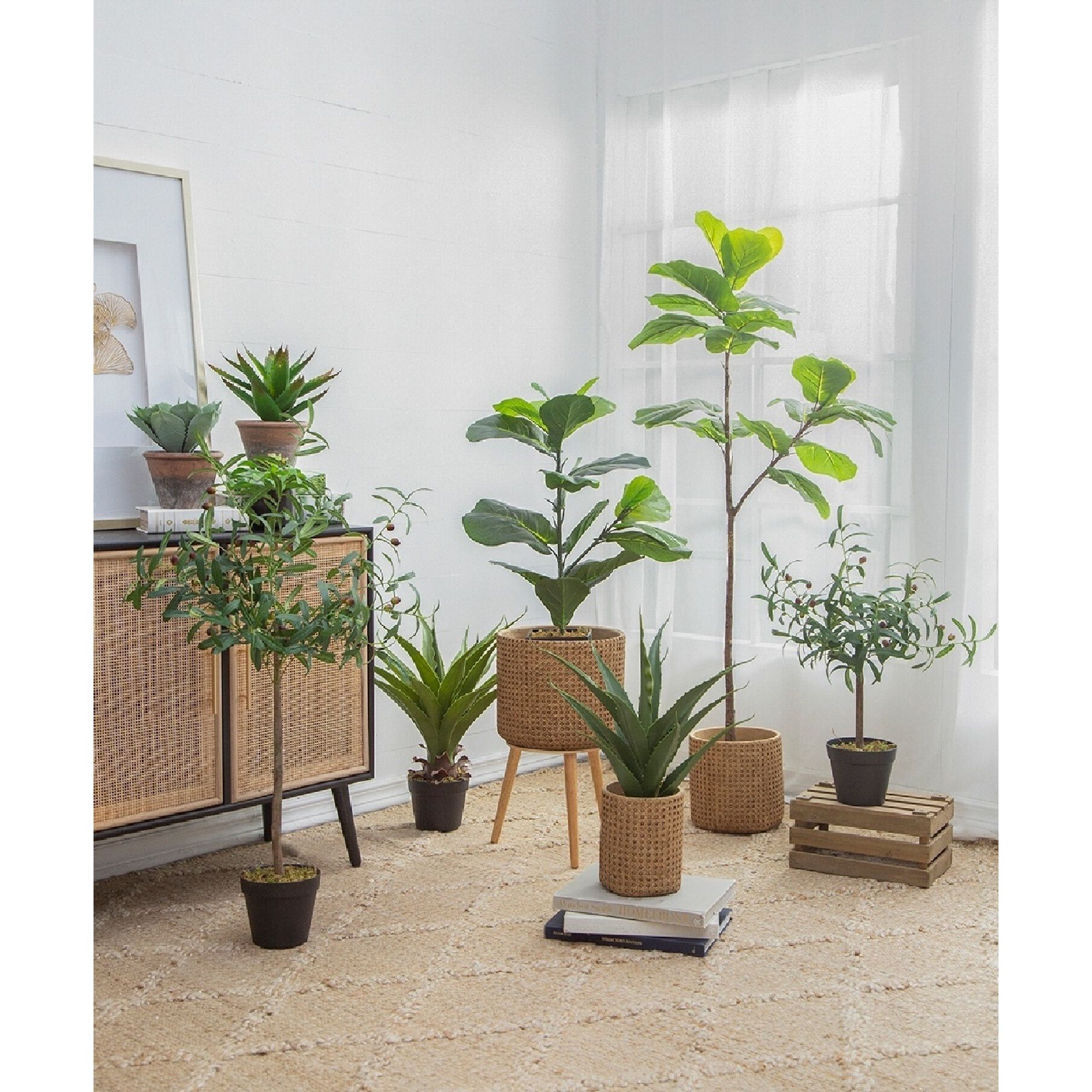 Olive Tree Green and Black Faux Plant