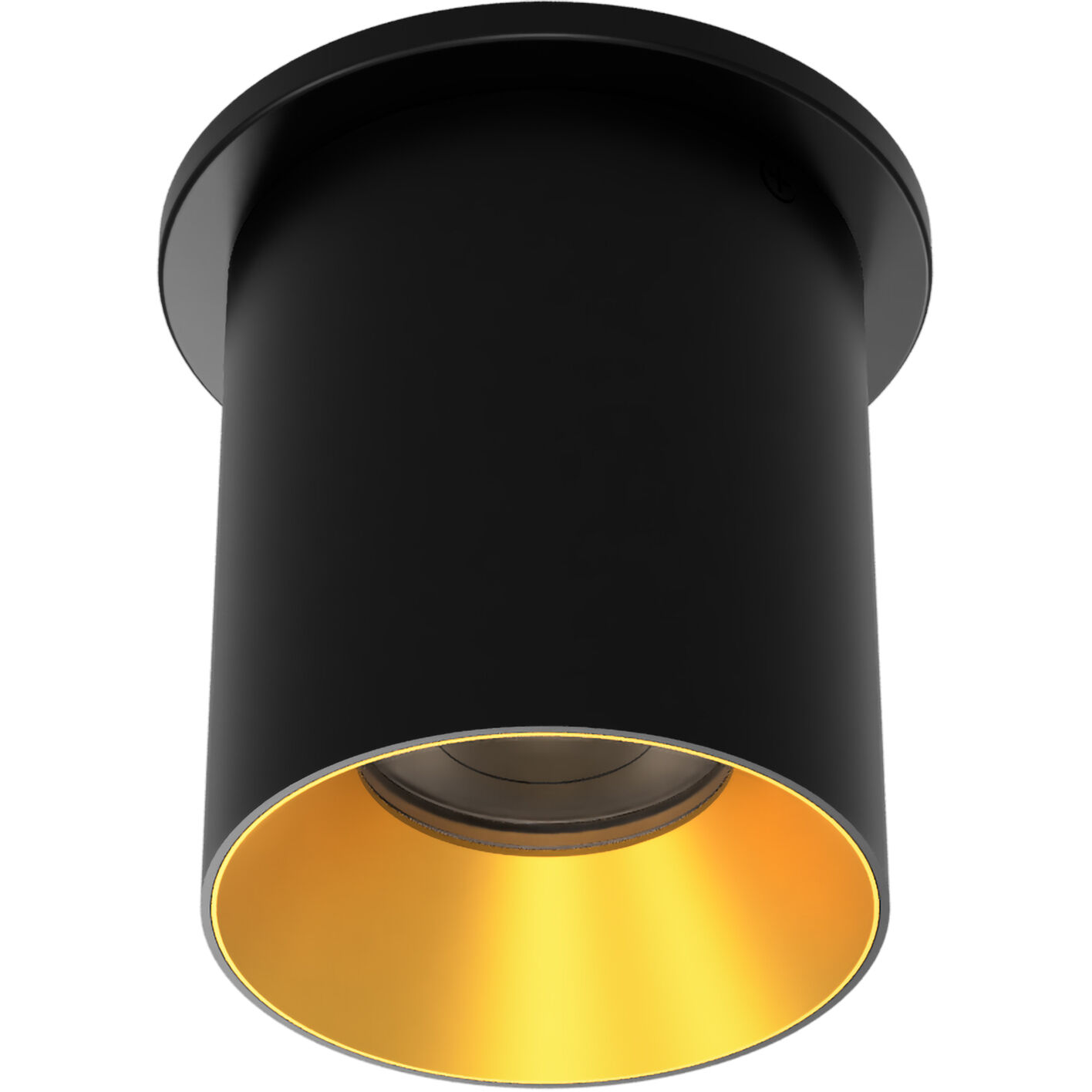Zoron LED 3.63 inch Black and Gold Outdoor Ceiling Lighting in Black/Gold