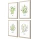 Culinary Collection Green Framed Art