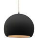 Radiance LED 12.25 inch Carbon Matte Black and Champagne Gold and Matte Black Pendant Ceiling Light