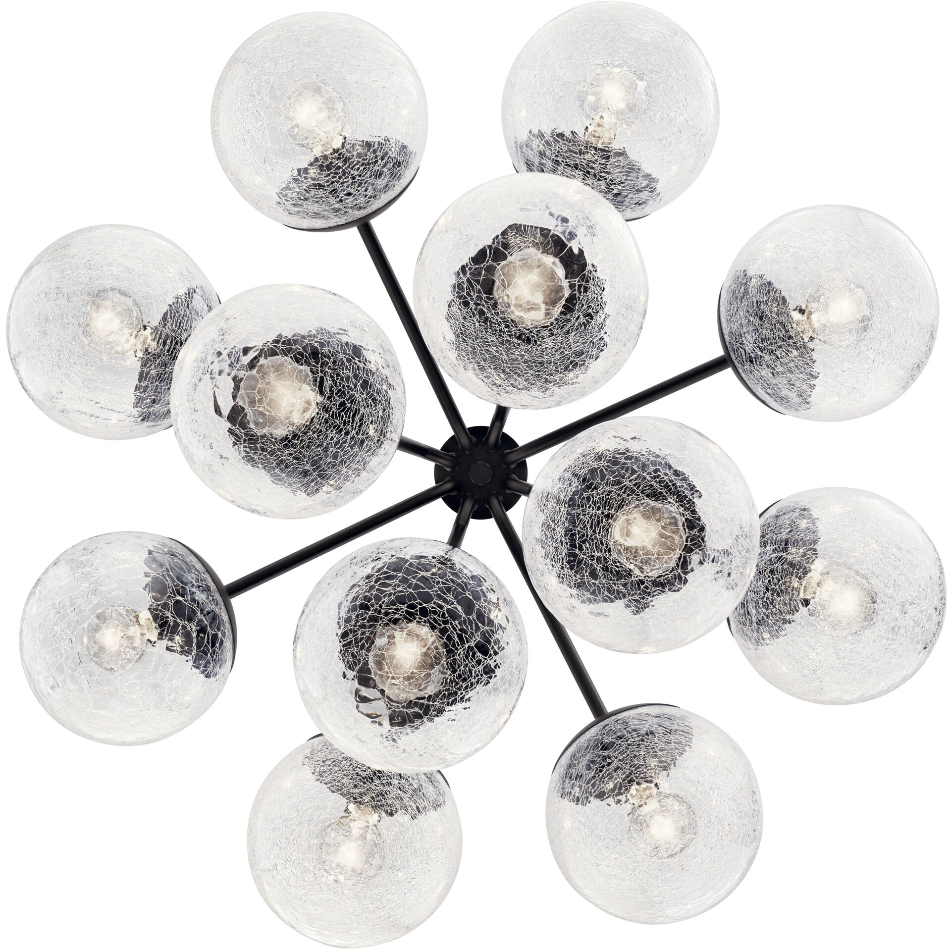 Silvarious 12 Light Black Chandelier/Semi Flush Ceiling Light