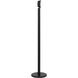Task Portables 54 inch 5.00 watt Coal Adjustable Floor Lamp Portable Light