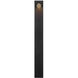Scope 12v 2.5 watt Black and Burnished Bronze Landscape Path Light