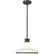Reznor Pendant Ceiling Light in Matte Black