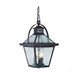 Bay Street 3 Light 9.75 inch Outdoor Pendant/Chandelier