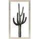 Saguaro Green and White Framed Art