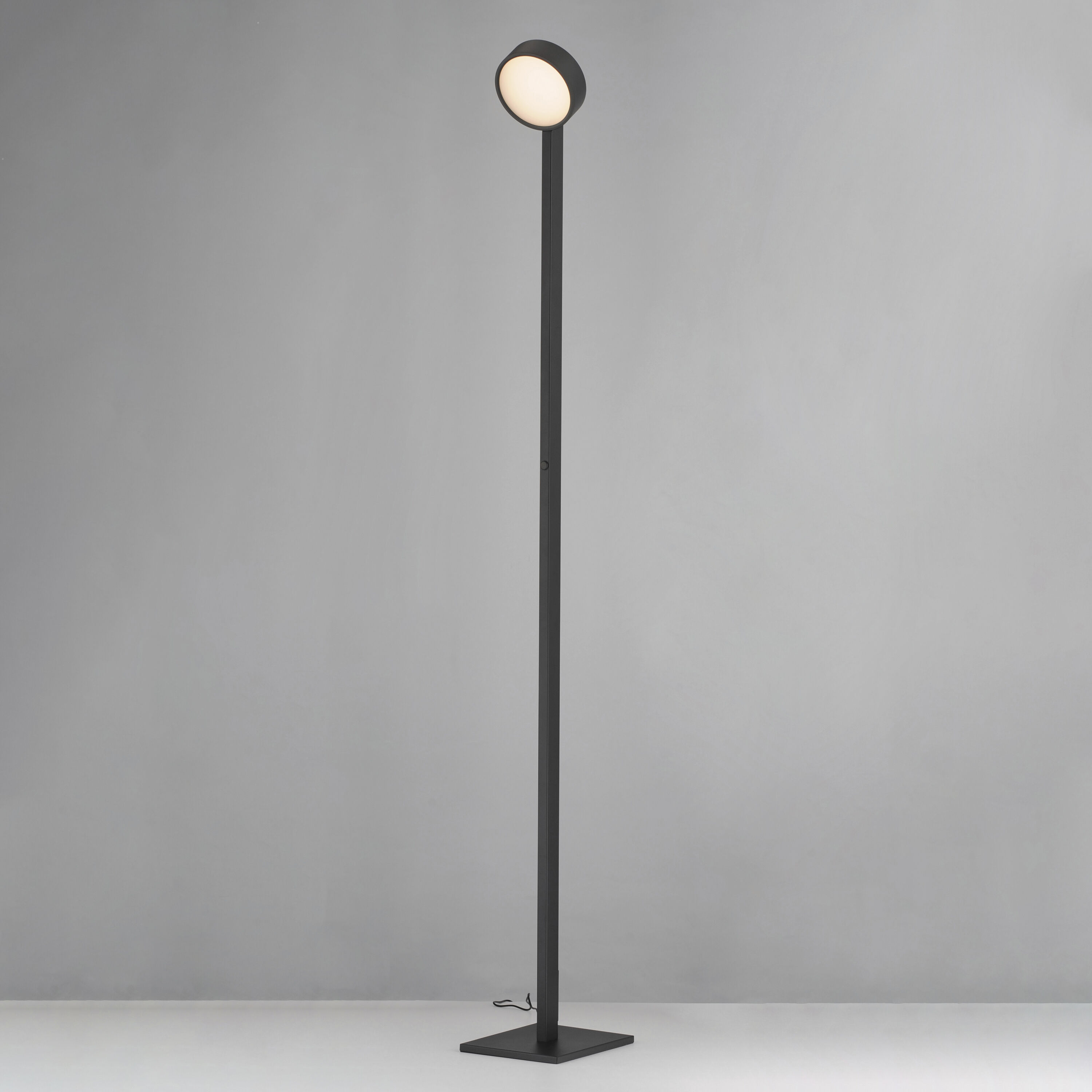 Embrace 64.75 inch 10 watt Black Floor Lamp Portable Light