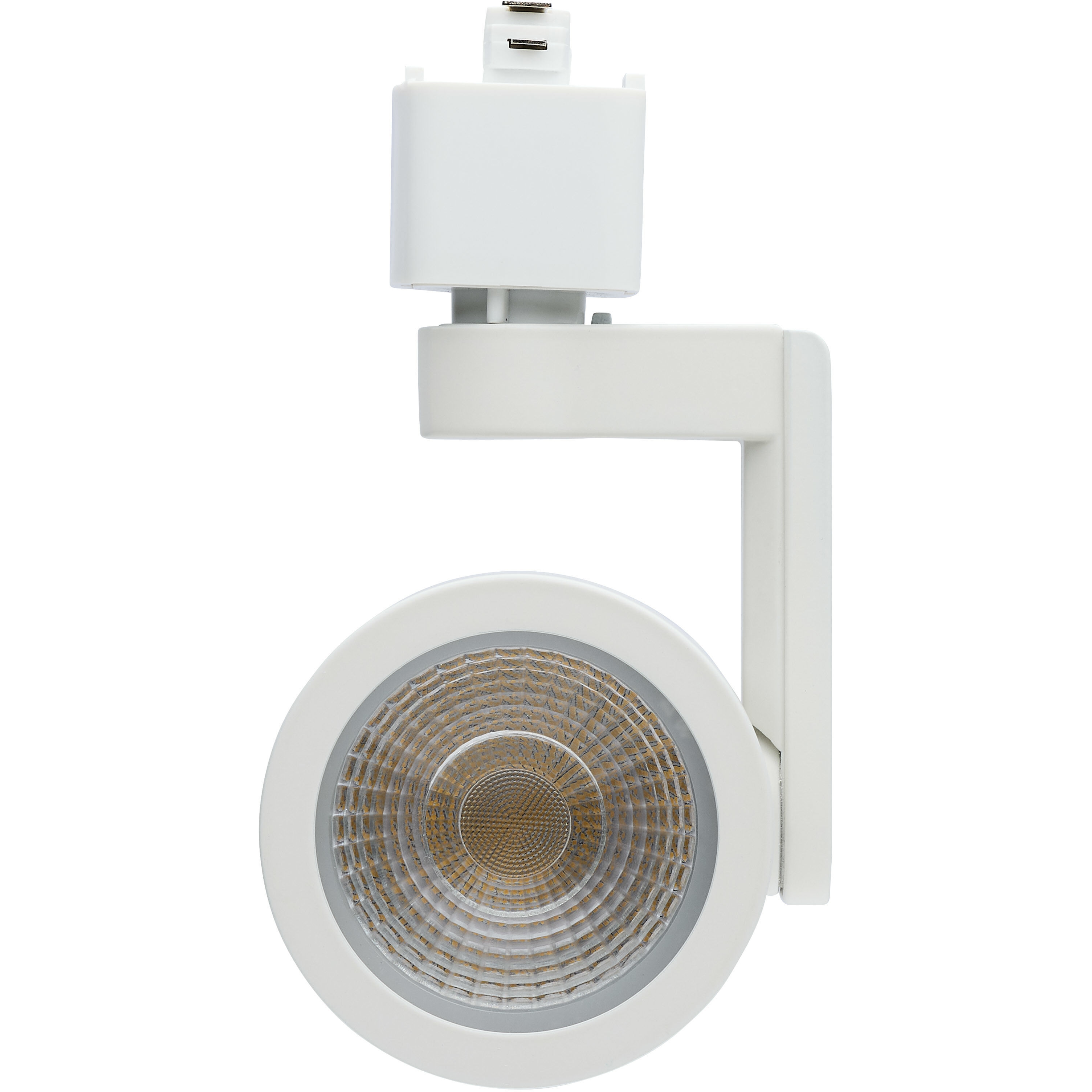 Lantern 1 Light 120 White Track Lighting Ceiling Light