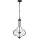 Neighborhood Serene 2 Light 15 inch Espresso Pendant Ceiling Light in Clear Seeded, Neighborhood Collection