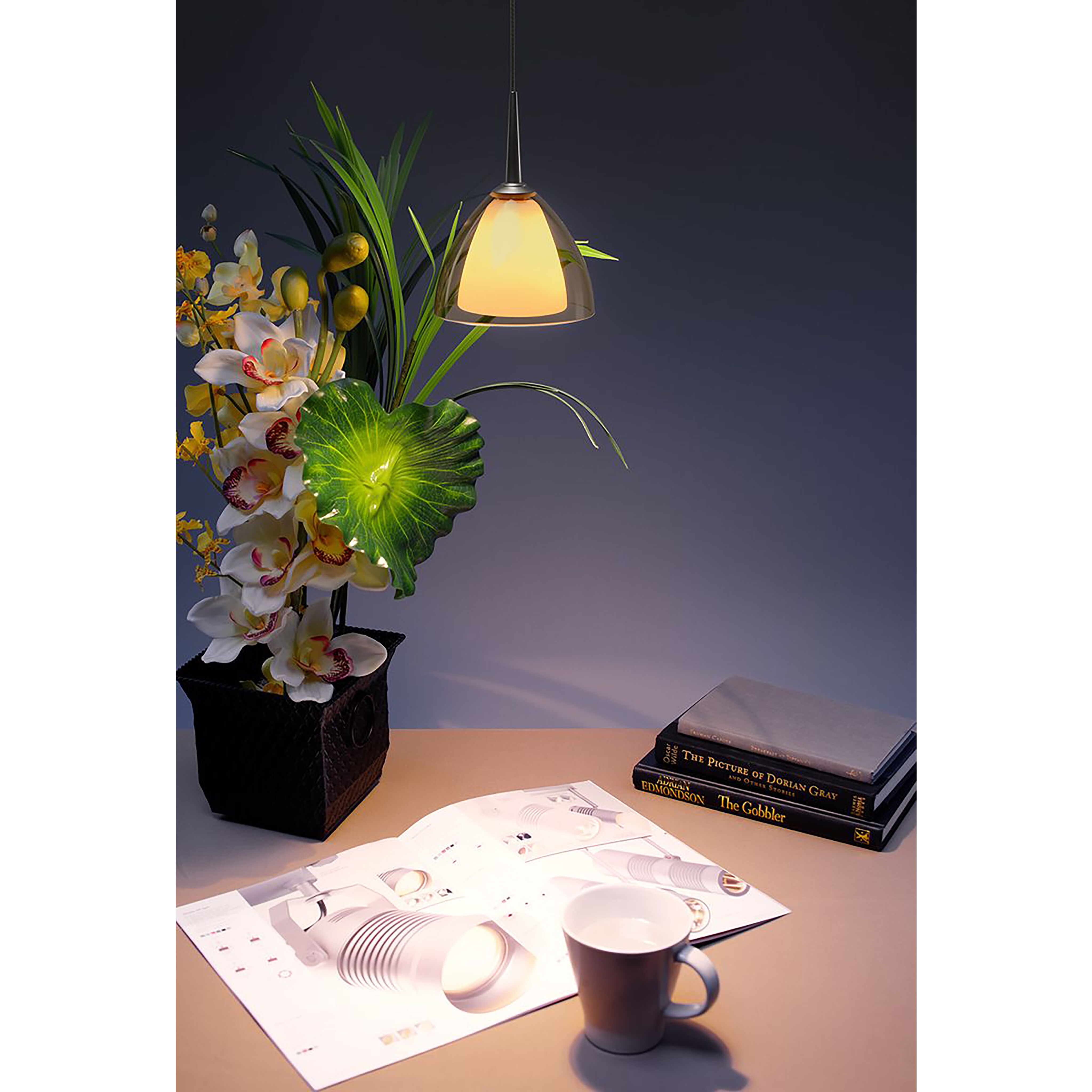 Rainbow 1 Light 4.5 inch Chrome Pendant Ceiling Light in Clear Glass