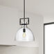 Liberty 1 Light 13.75 inch Matte Black Pendant Ceiling Light 