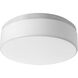 Maier LED 1 Light 14.00 inch Flush Mount