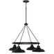 Jones 4 Light 32 inch Matte Black Chandelier Ceiling Light