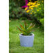 Terracotta Blue and White Outdoor Planter, Set of 4