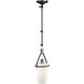Brydon LED 6.5 inch Black and Brushed Nickel Sconce/Pendant Ceiling Light in Black/Brushed Nickel