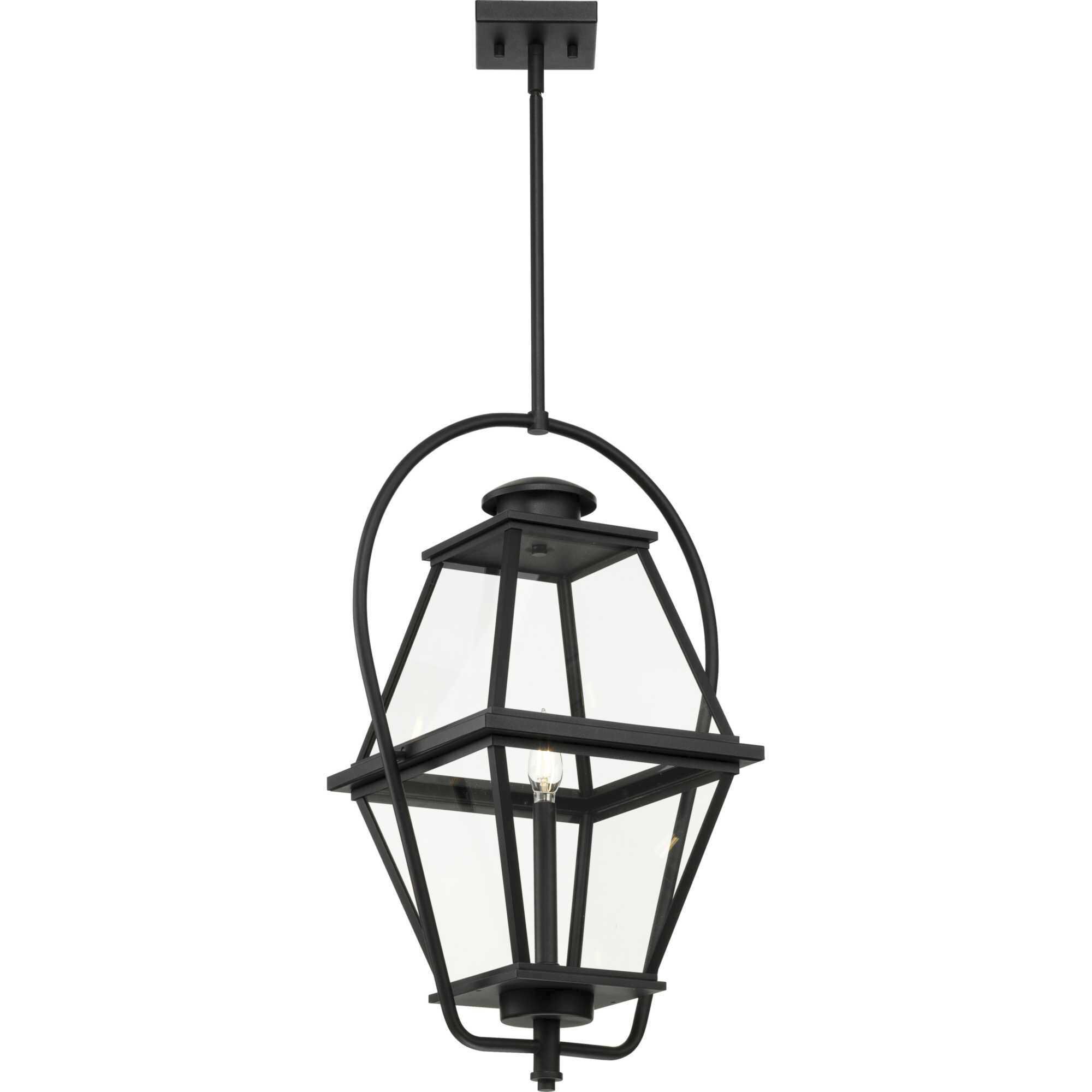 Bradshaw 1 Light 12 inch Textured Black Outdoor Hanging Lantern, Design Series