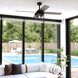 Rowan 22.44 inch Black with Driftwood-Black Walnut Blades Ceiling Fan