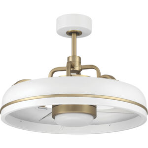 Taylor 20.00 inch Indoor Ceiling Fan