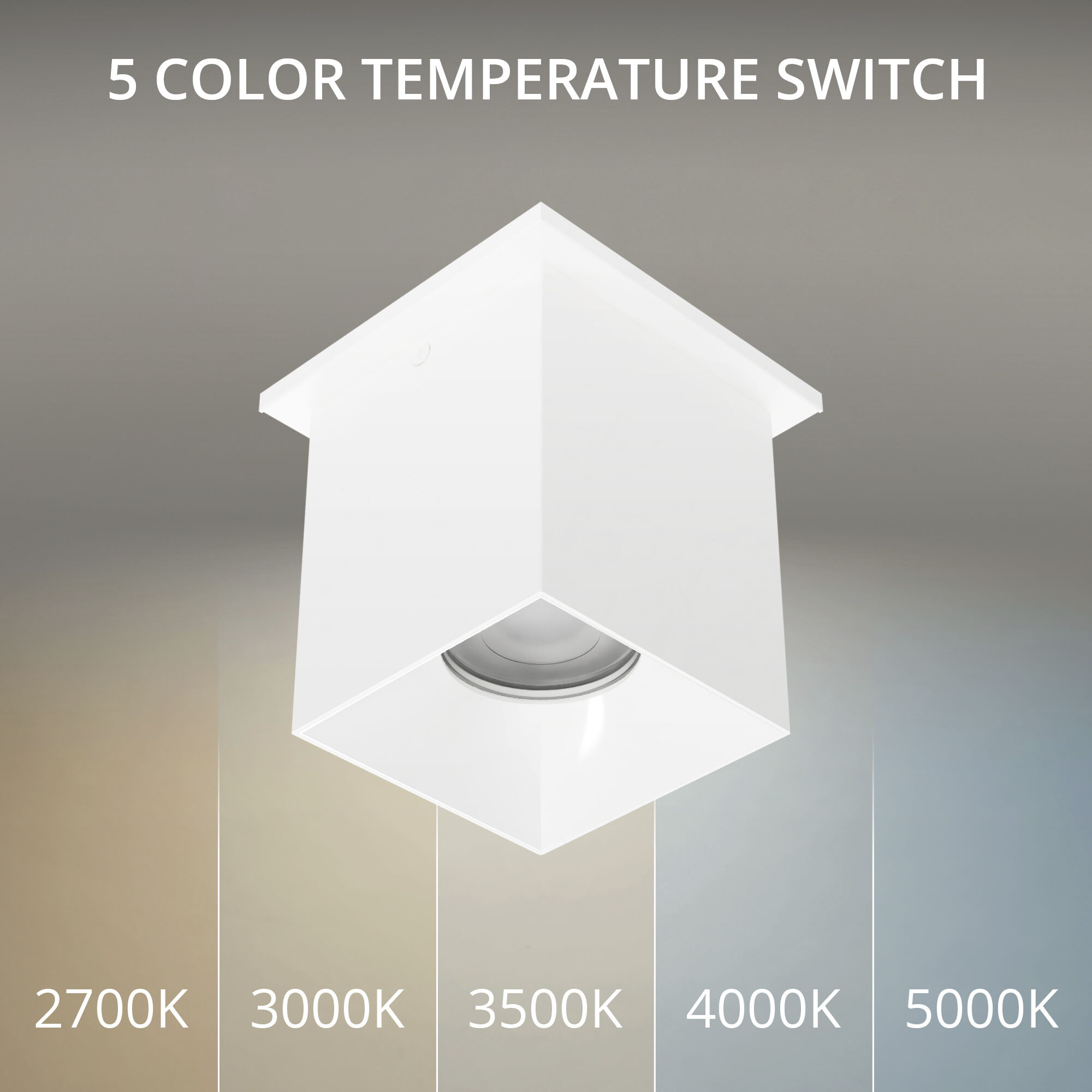 Zoron LED 3.63 inch White Outdoor Ceiling Lighting