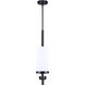 Malloy 4 Light 23.25 inch Matte Black Chandelier Ceiling Light